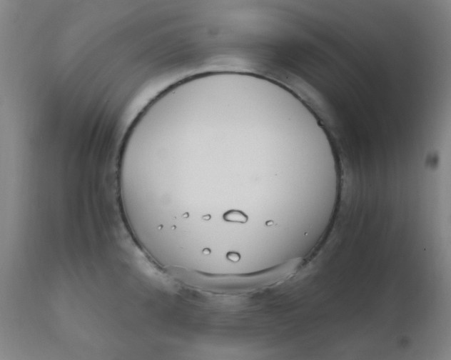 X0000110731192200907022102