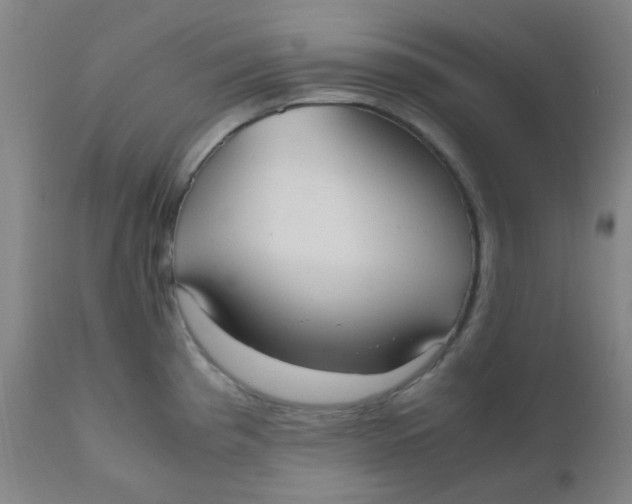 X0000110731193200907022102