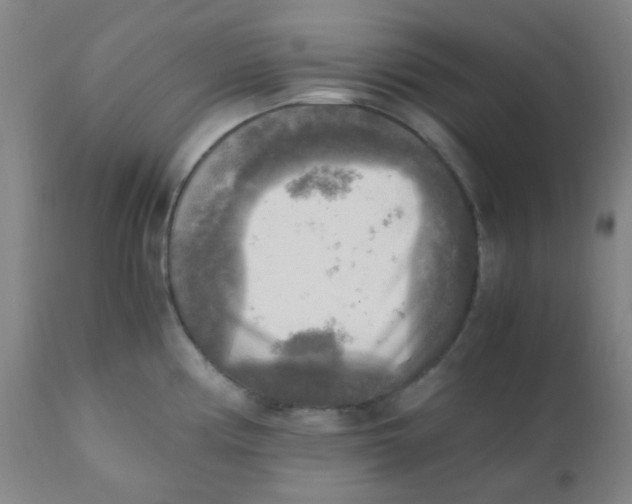 X0000110731194200907022102