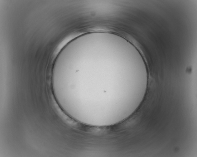 X0000110731195200907022102