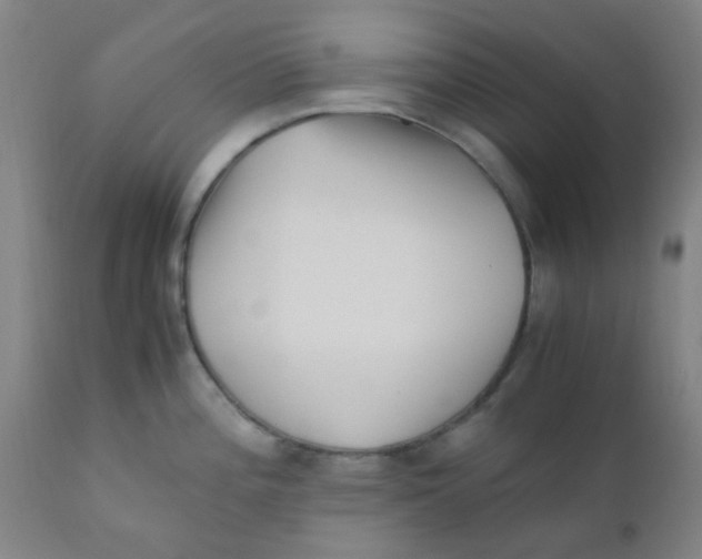 X0000110731196200907022102