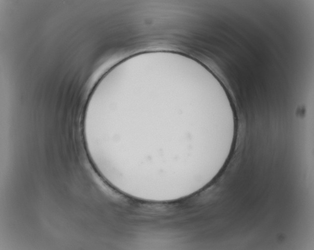 X0000110731197200907022102