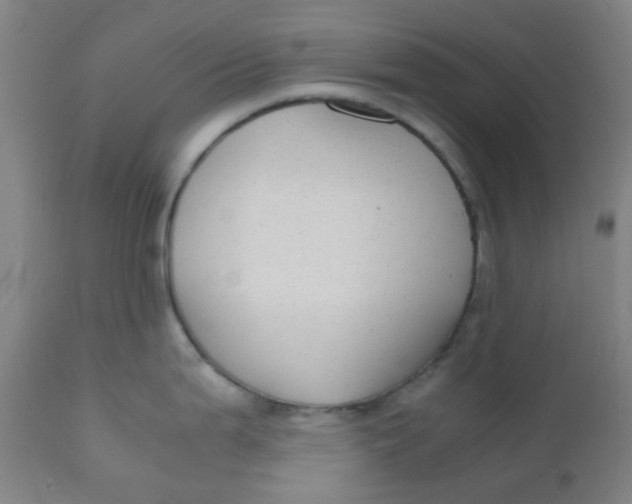 X0000110731199200907022102