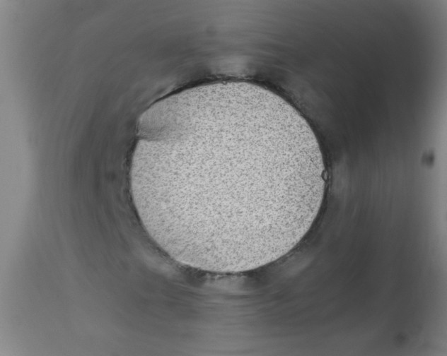 X0000110731201200907022102