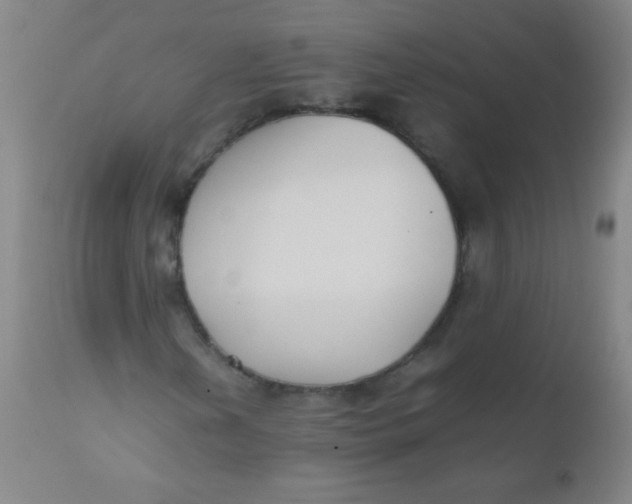 X0000110731202200907022102