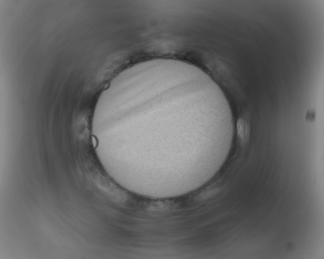 X0000110731203200907022102