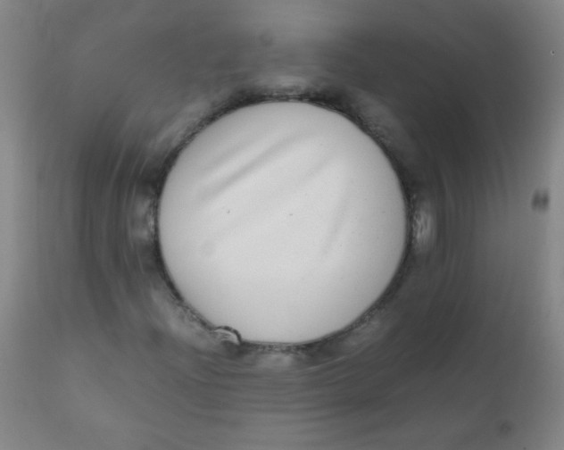 X0000110731204200907022102