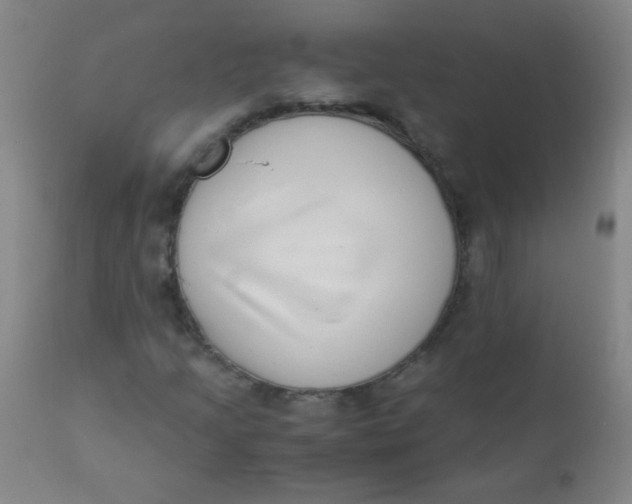 X0000110731205200907022102