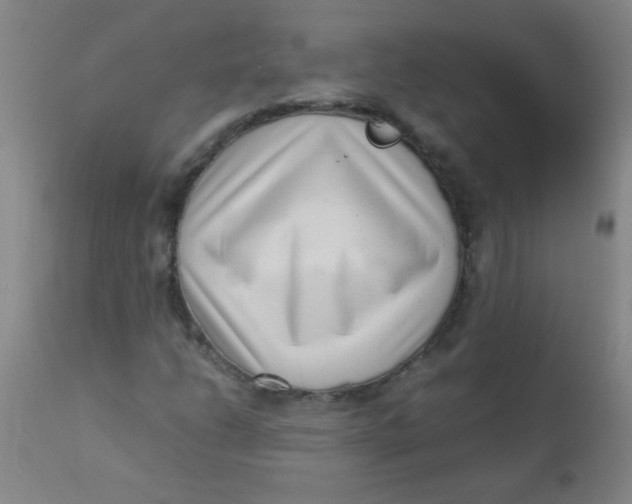 X0000110731206200907022102