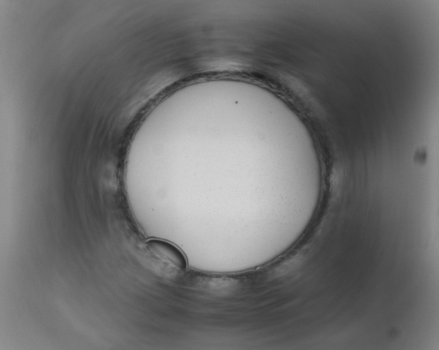 X0000110731209200907022102