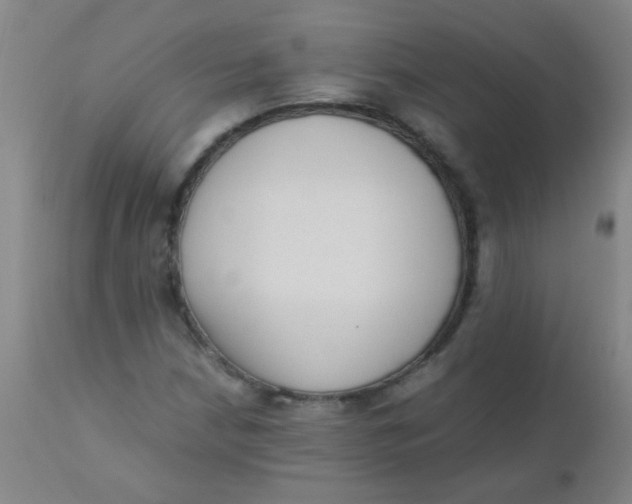 X0000110731210200907022102