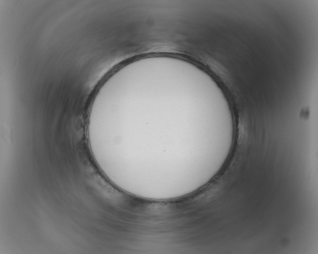 X0000110731212200907022102