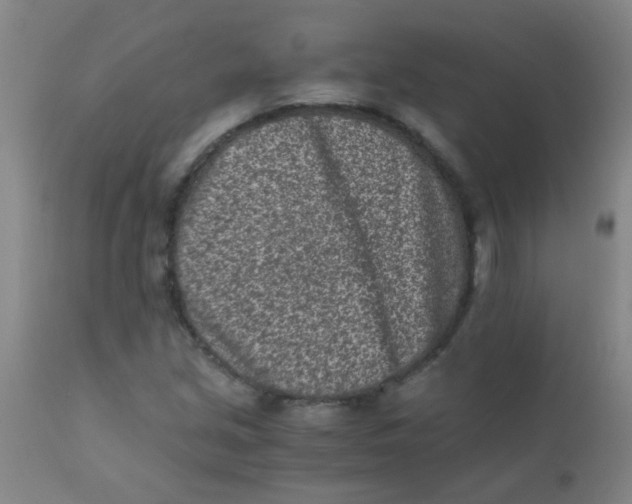 X0000110731213200907022102