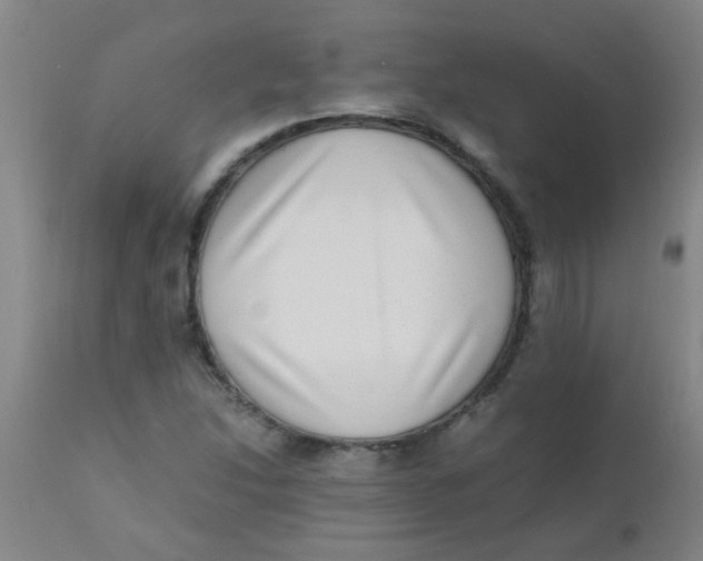 X0000110731214200907022102