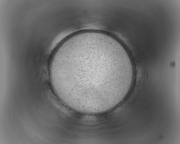 X0000110731215200907022102