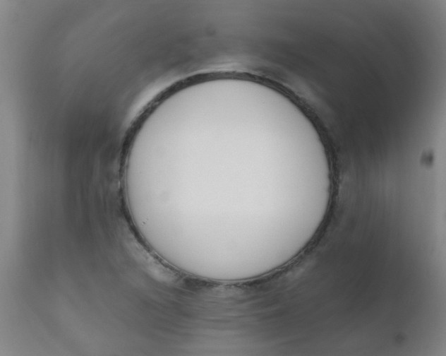 X0000110731216200907022102