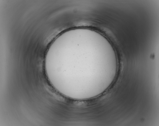 X0000110731217200907022102