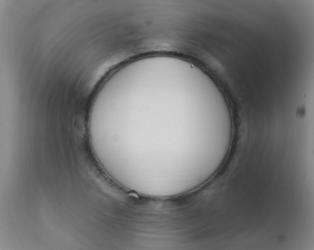 X0000110731218200907022102