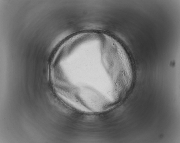 X0000110731219200907022102