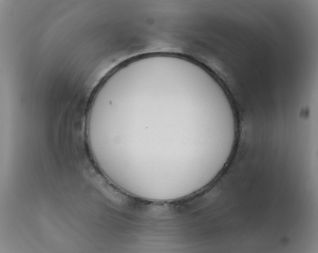 X0000110731220200907022102