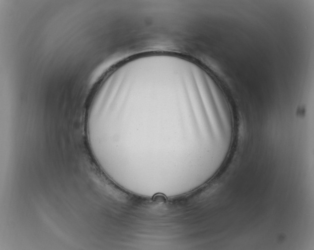 X0000110731222200907022102