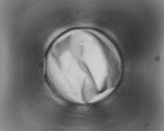 X0000110731223200907022102