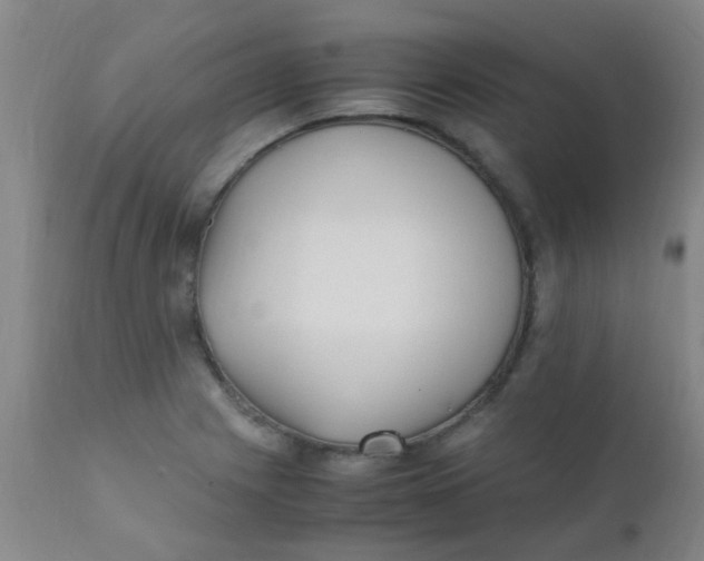 X0000110731225200907022102