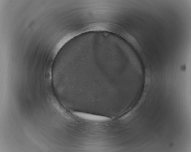 X0000110731226200907022102