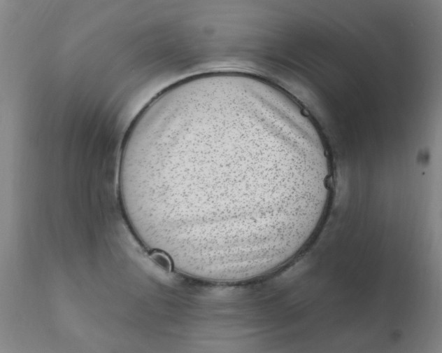 X0000110731228200907022102