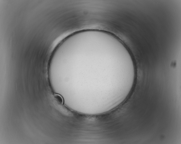 X0000110731230200907022102