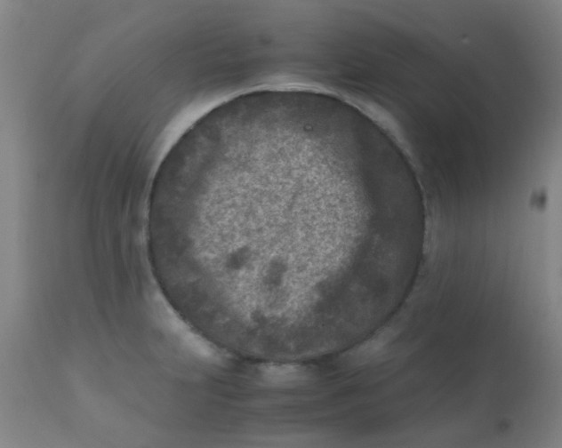 X0000110731231200907022102