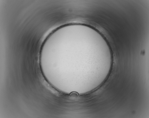 X0000110731232200907022102