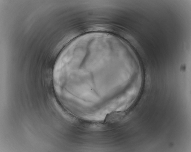 X0000110731233200907022102