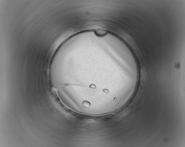 X0000110731234200907022102