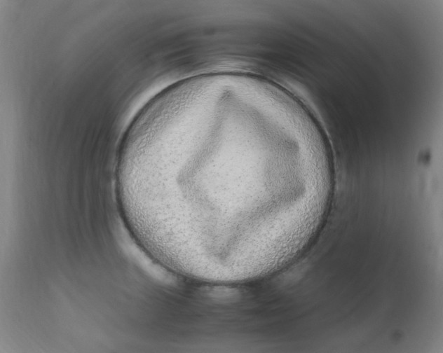 X0000110731235200907022102