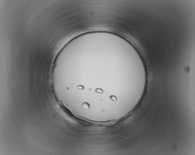 X0000110731236200907022102