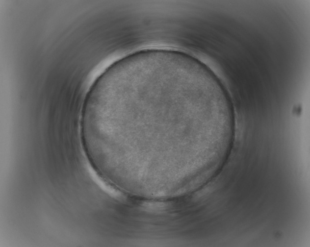 X0000110731237200907022102