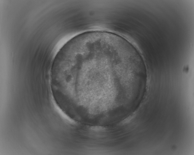 X0000110731239200907022102