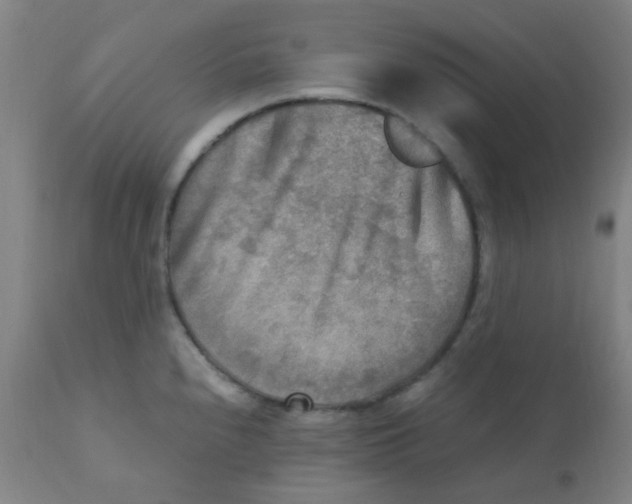 X0000110731240200907022102