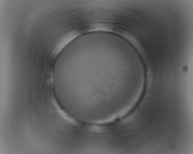 X0000110731241200907022102