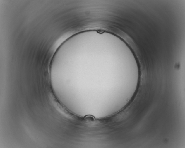 X0000110731242200907022102