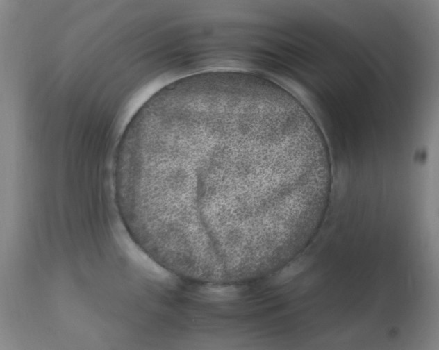 X0000110731243200907022102