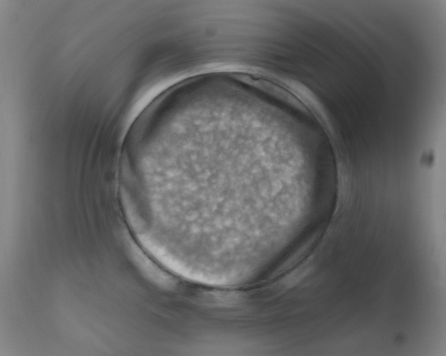 X0000110731244200907022102