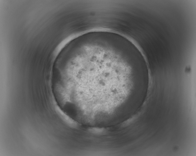 X0000110731245200907022102