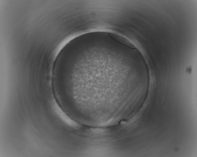 X0000110731246200907022102