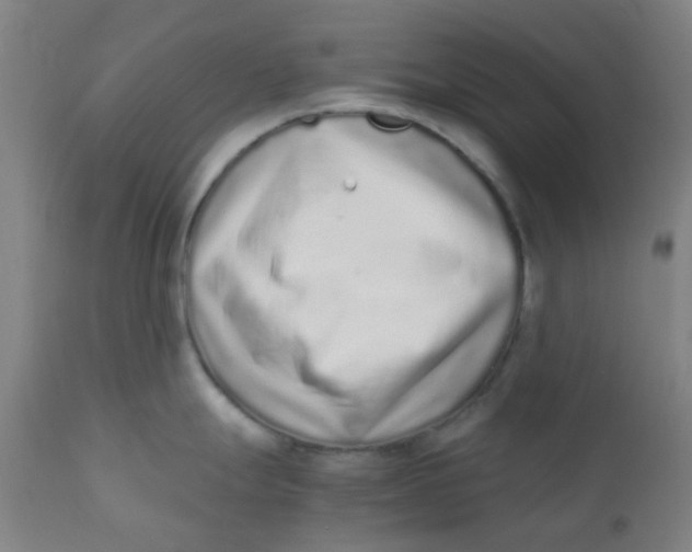 X0000110731247200907022102