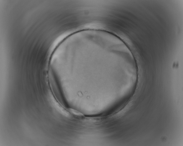 X0000110731248200907022102