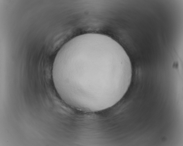 X0000110731250200907022102