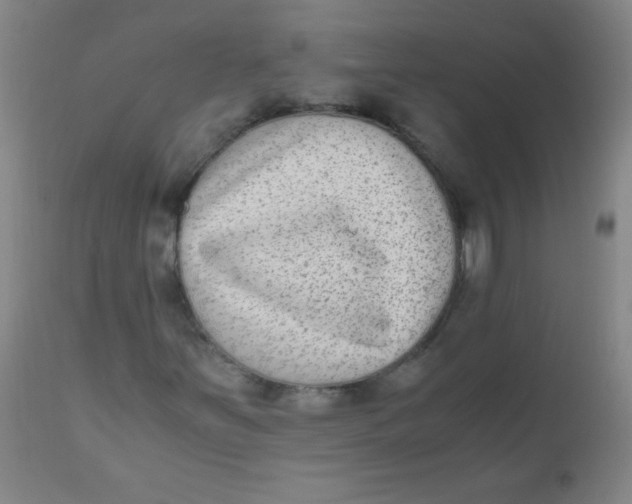 X0000110731251200907022102