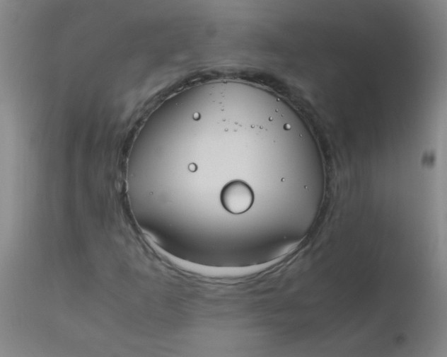 X0000110731253200907022102